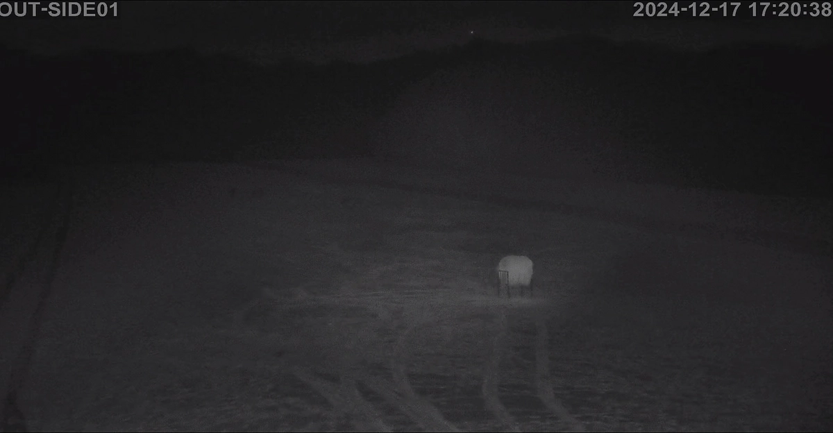 ママ放牧地テスト配信