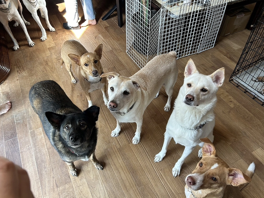 あと6万円で250万円！残りあと1か月を切って、なかなか厳しい状況です。