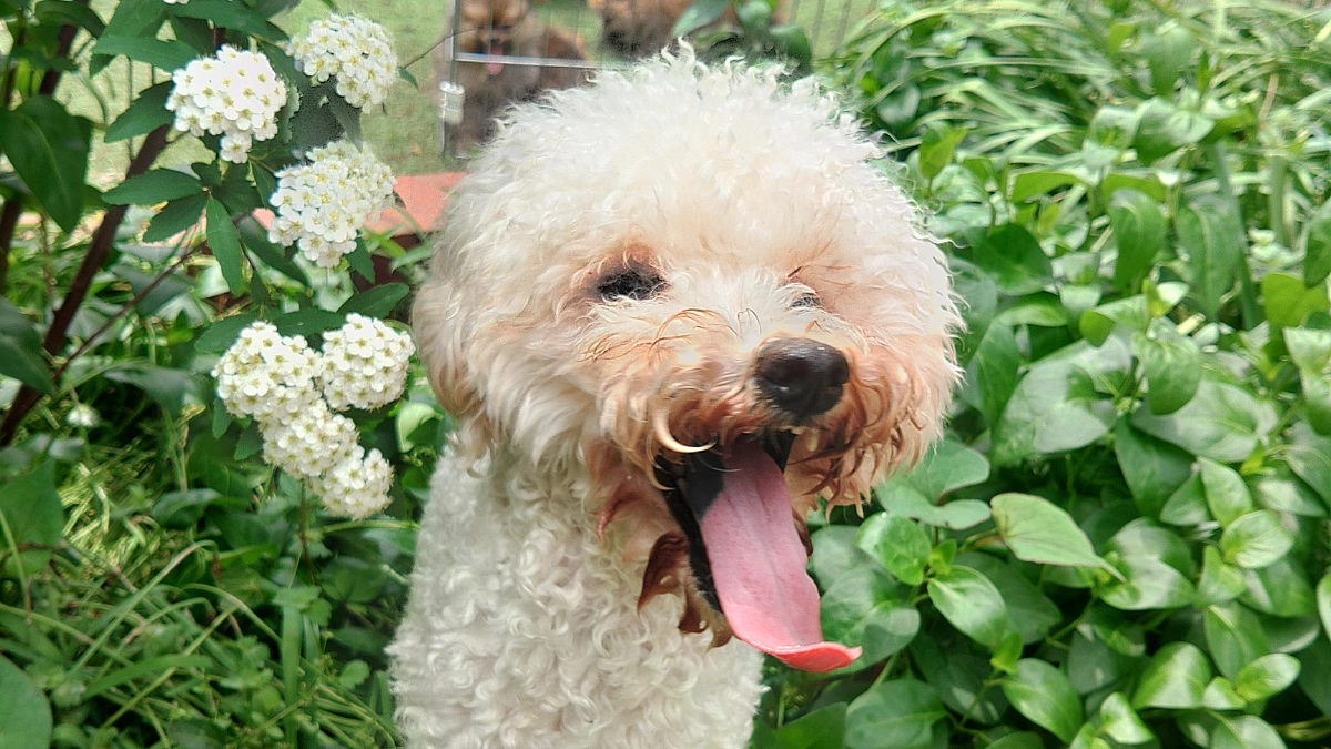 【50％突破の感謝】応援コメントのご紹介