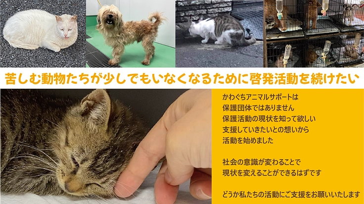 人と動物とが共に幸せに暮らせる社会となるための啓発活動を続けたい！