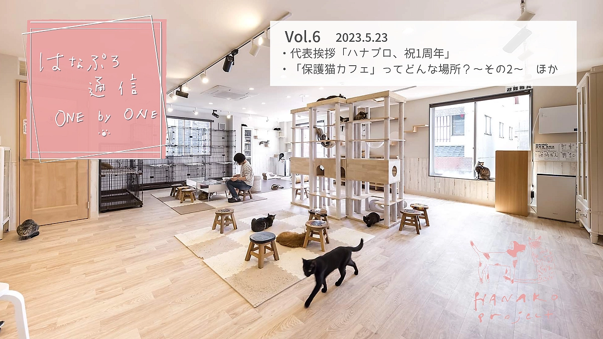 「はなぷろ通信 one by one」Vol.６