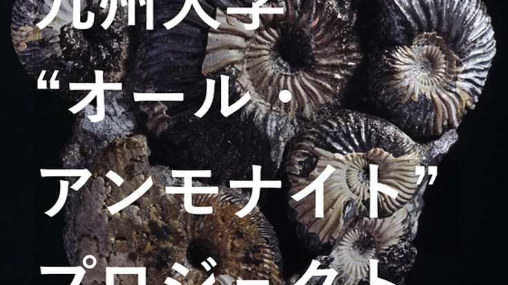 誕生から絶滅まで。3億4000万年分のアンモナイト化石 九大に集結