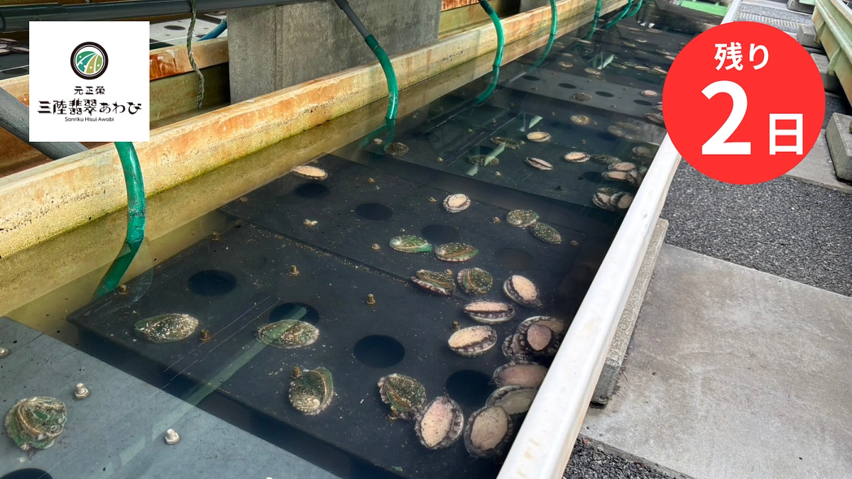 【募集終了まであと2日】皆さまからのエールに胸打たれます！