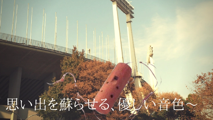 国立競技場の木をコカリナに蘇らせ、子ども達へ届けたい!