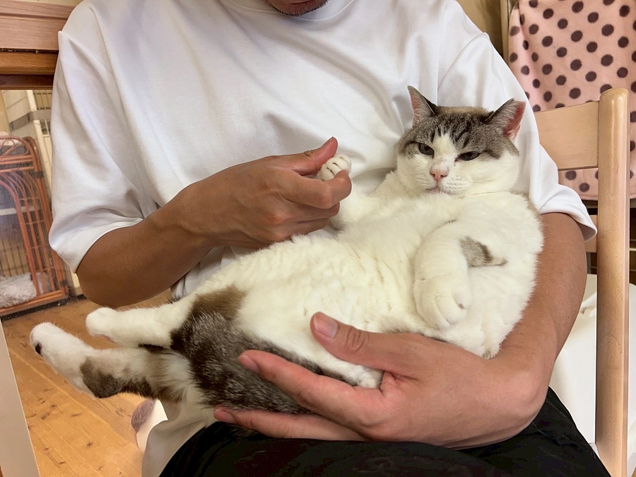 本格工事スタートしました！