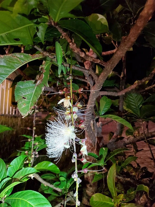 夜間の楽しみ【回答編】