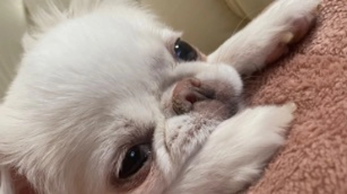 いつもあたたかいご支援ありがとうございます🙇‍♀️💓