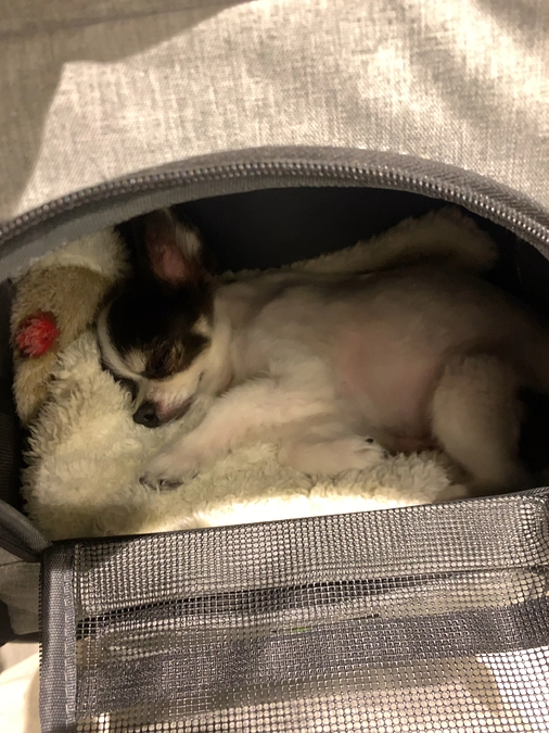 毎日続くひどい咳💦