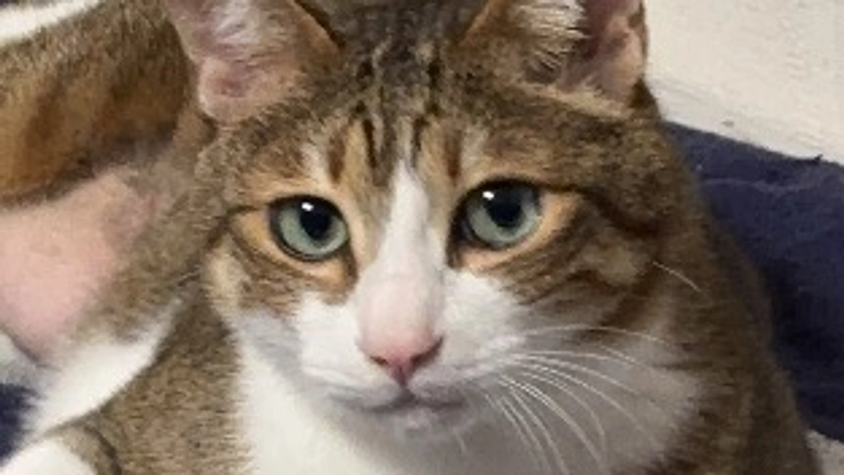 検査結果が郵送されてきました