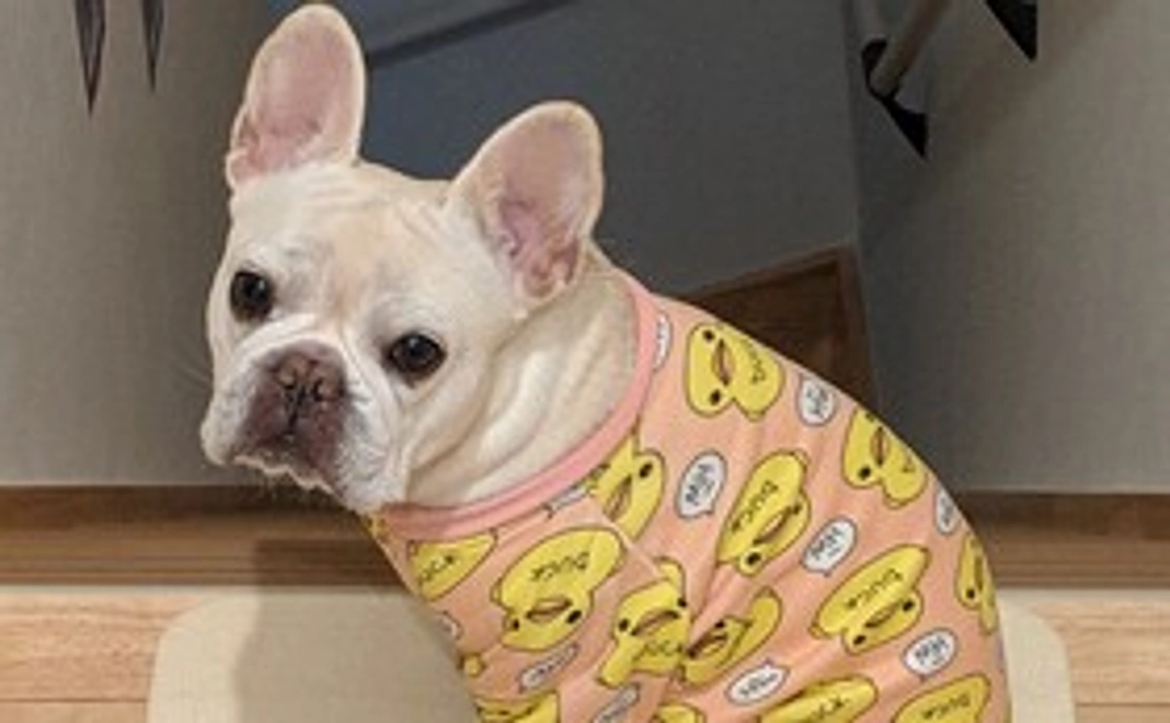 ココロがんばれ！応援コースB.