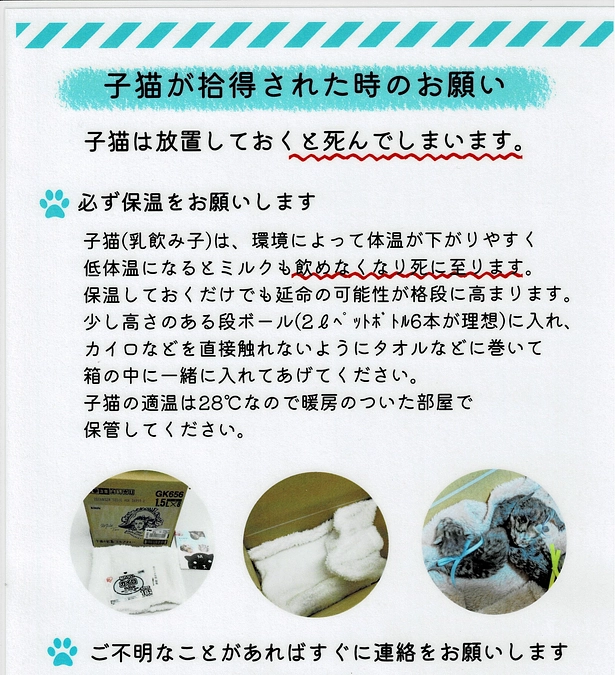 小さな命をつなぐために（後編）