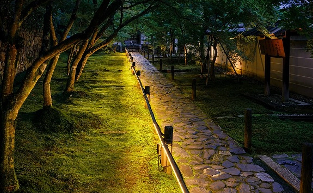 ライトアップ鑑賞と喫茶の券　5/2参加分