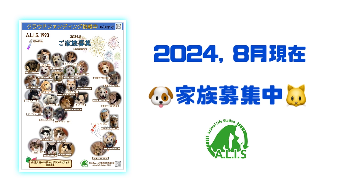 【８月現在の家族募集中の子たち🐾】