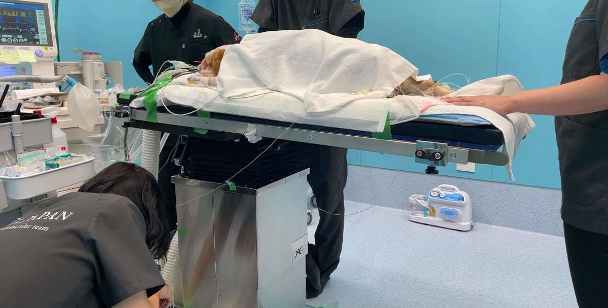 完全に安心出来る状態ではありませんが、、、😌✨