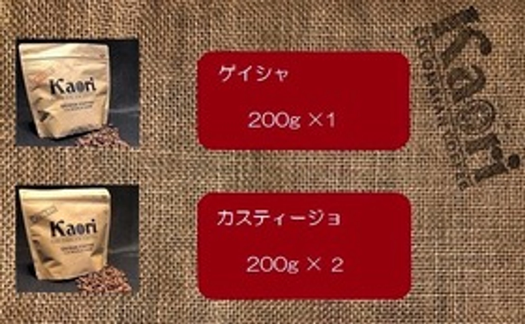 【お試しセットB】