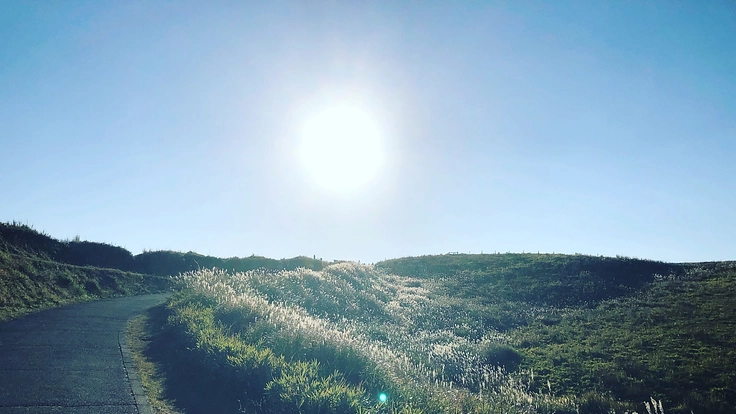 リアルを生きるわたしたちのために〜知的財産及び個人情報の保護