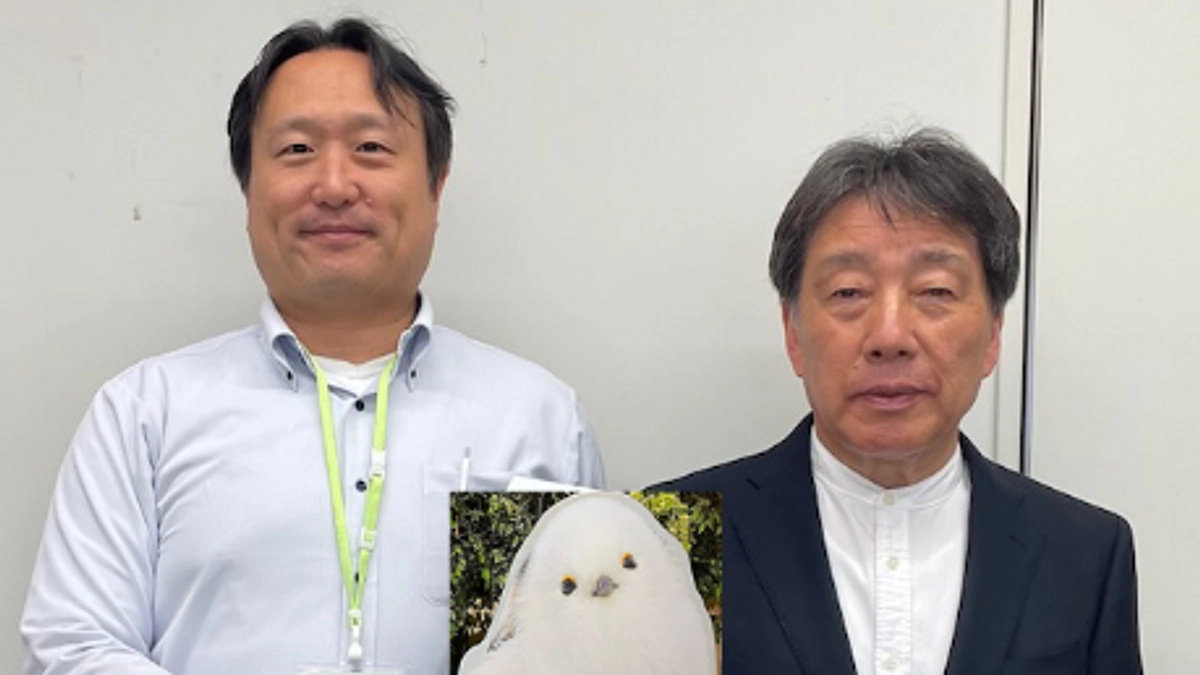 3週間目のご報告