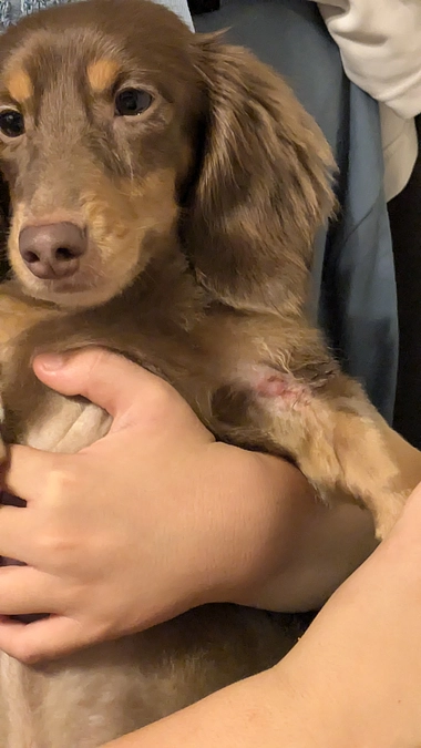 体調悪く更新出来ずすみません。