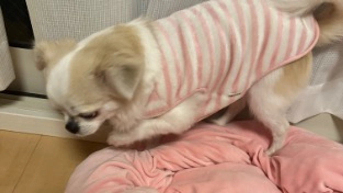 クラウドファンディング残り24日🗓️