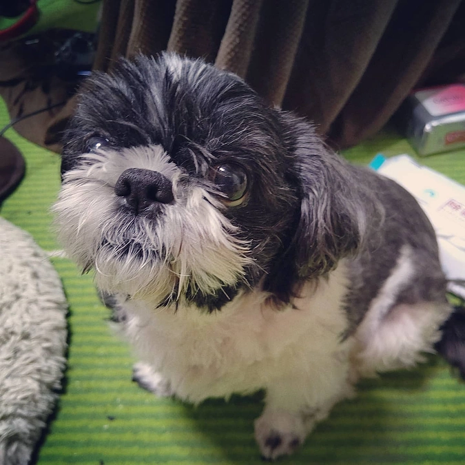 本日もご支援頂きました。あざざます。