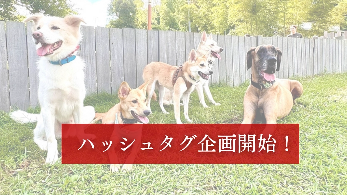 ハッシュタグ企画を開催！皆さまの想いと共に、どうかご協力をお願いします