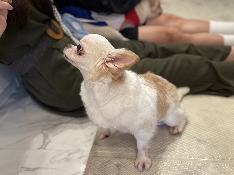 『医療シェルター兼ふれあいカフェ』新設のためのクラウドファンディングがスタートしました！