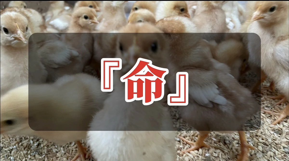 これから！成長姿を…