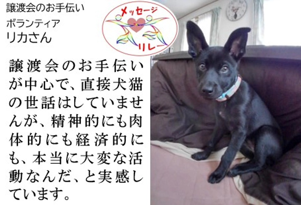 リレー２５．命の尊さ。そのきっかけを青い鳥さんで学んだと思います。