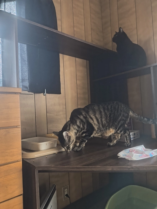 出来る事から準備