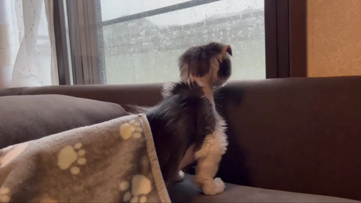 11/6のテオくんの様子