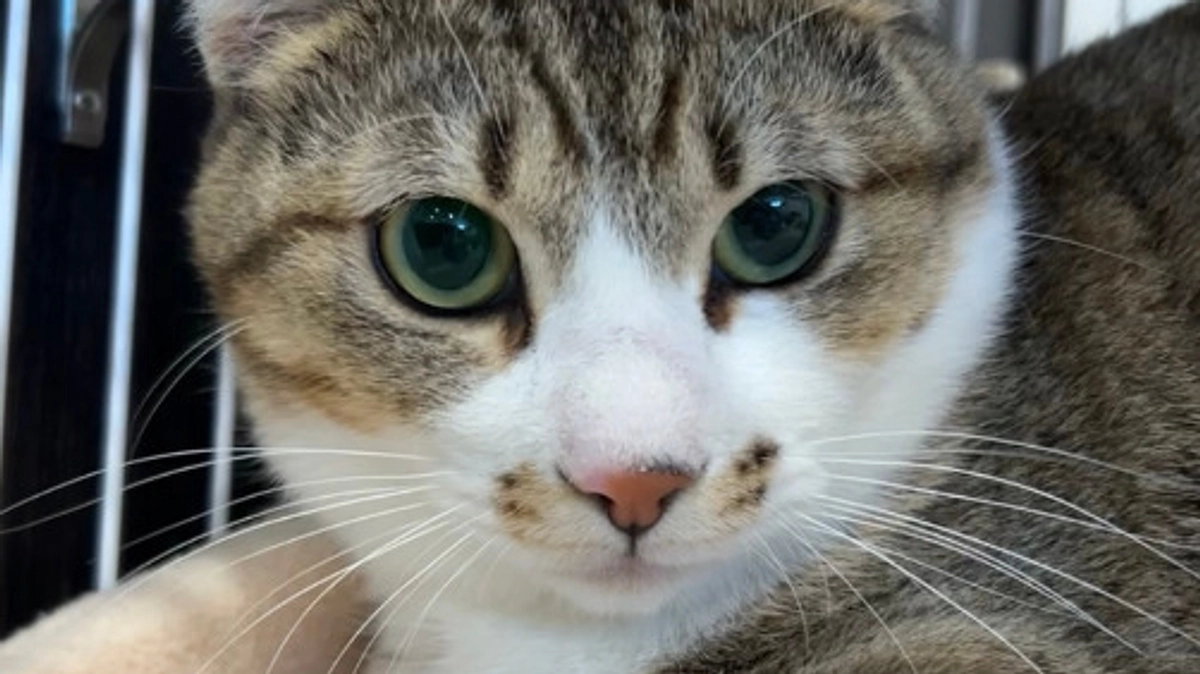 新メンバーの男の子🌟