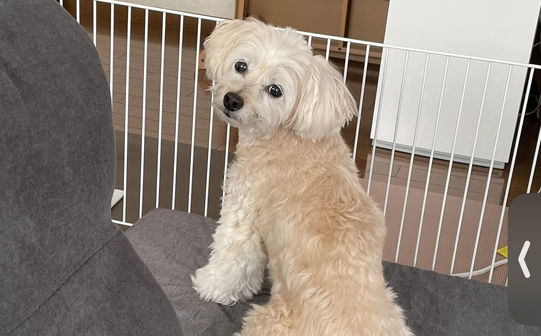 週に1度の病院へ行ってきました