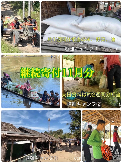 【継続寄付(マンスリーサポート)活動報告(11月分)】