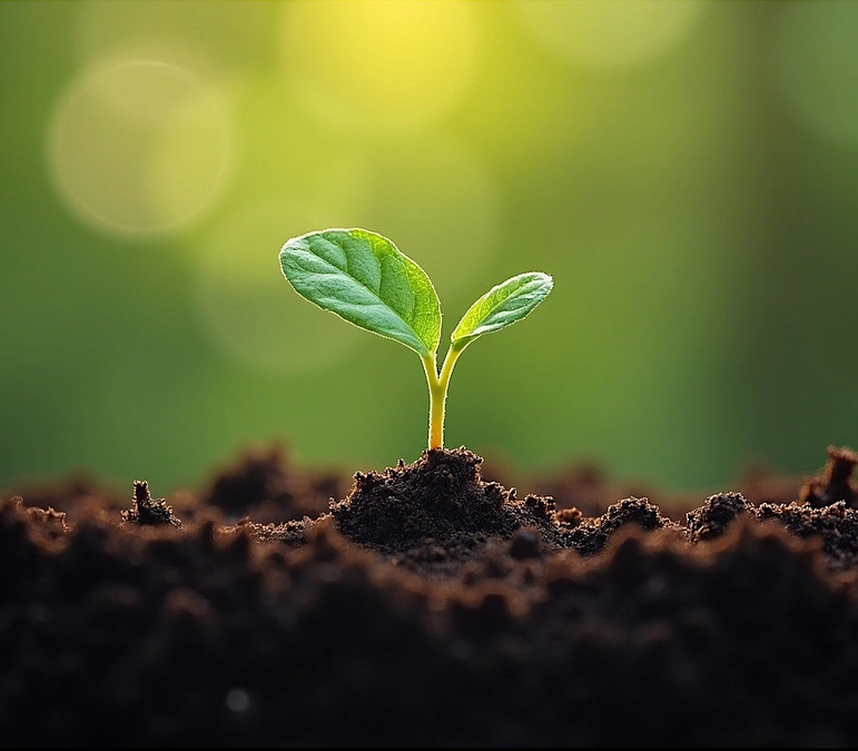 ゲスト講師や講演のご依頼を歓迎します