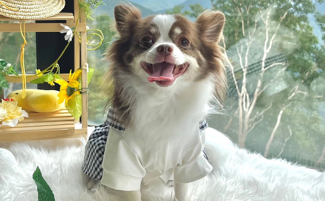 感謝のご連絡1（リターン不要）