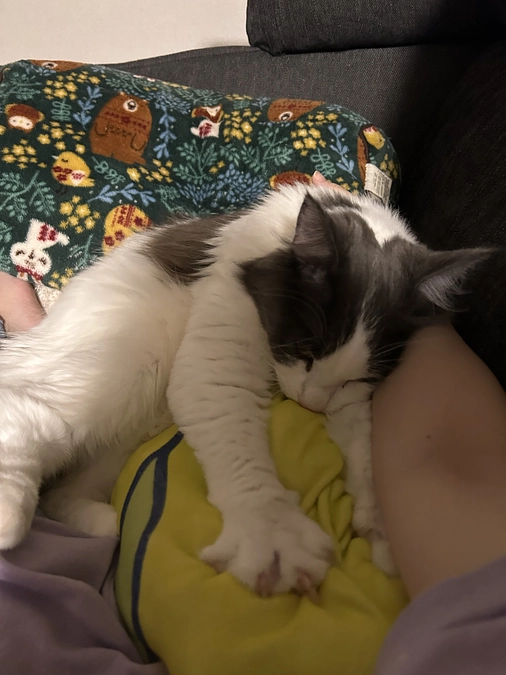 残り4日！！！！！