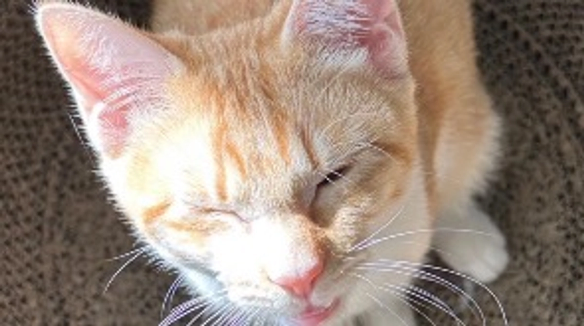 お薬の選択について