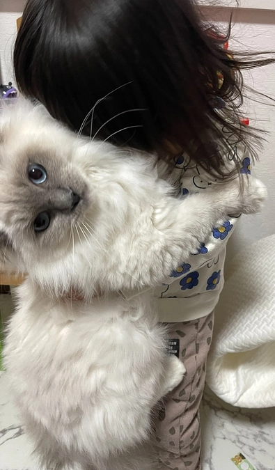 あけましておめでとうございます。