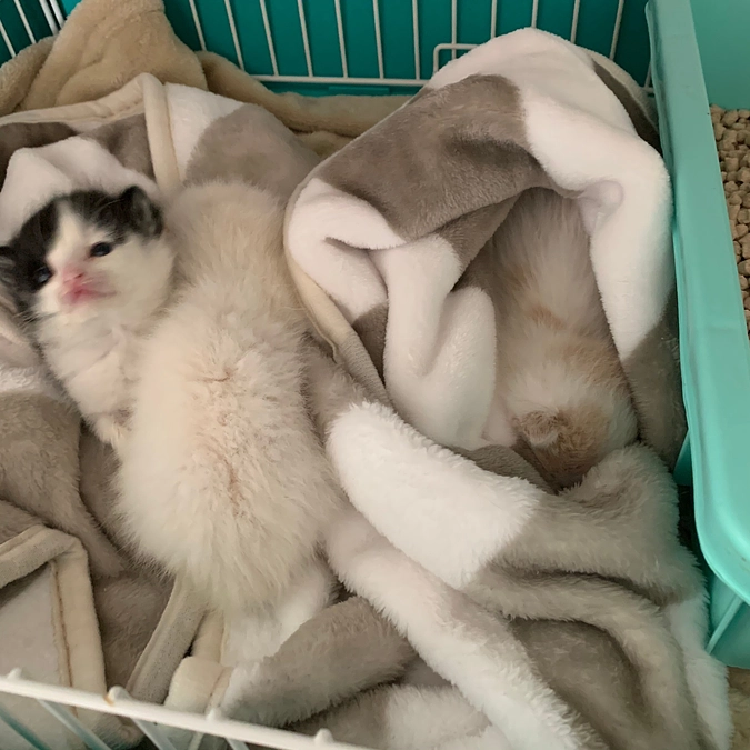 ラスト３時間となりました。緊急事案に着手します。