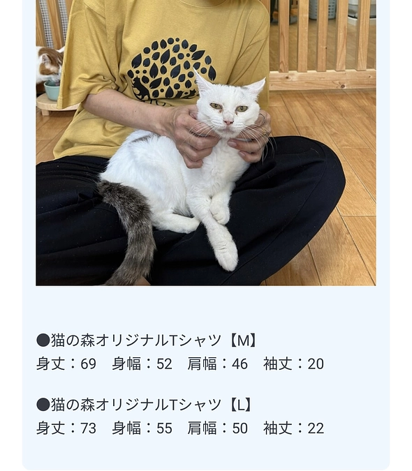 ご好評につきＴシャツ数量追加しました！