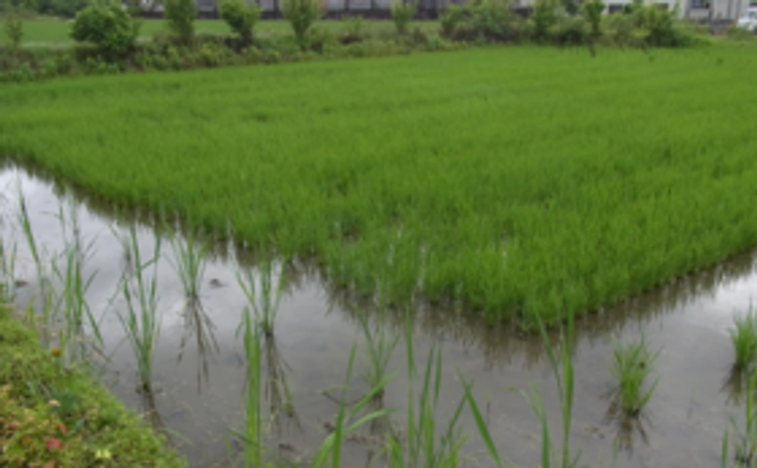 プロジェクト応援コース