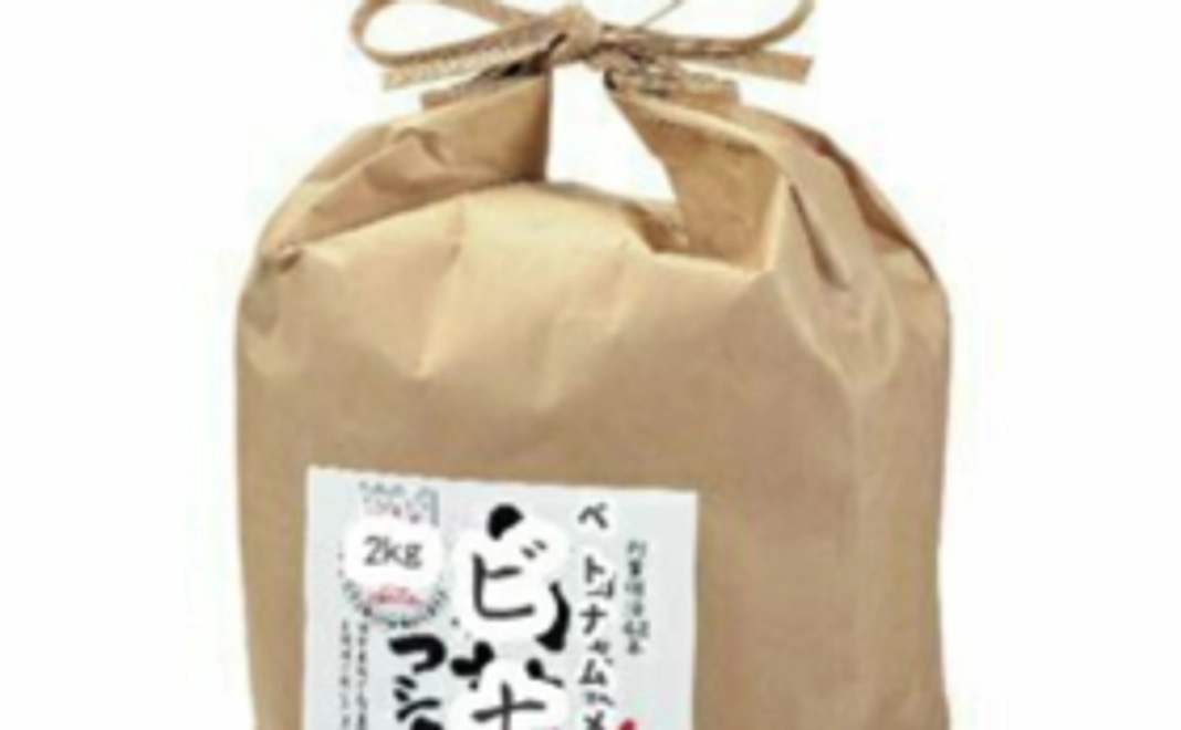 感謝のメールとビナ姫(2kg)とケンタローステッカー