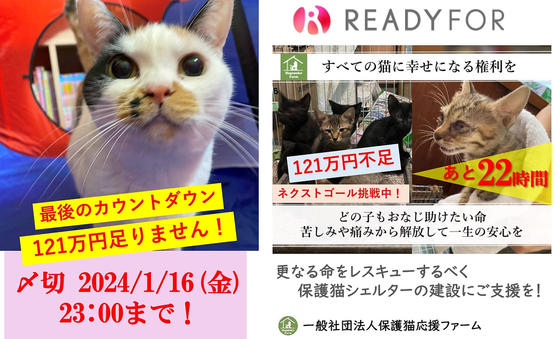 【活動報告】22時間をきりました💦