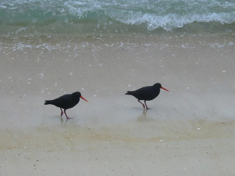 DAY13 感謝！Every encounter has its meaning.