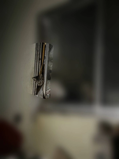 昨日（９／２５）相談がきた現場について。