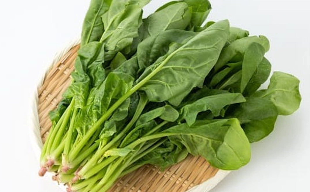 野菜1種類とお礼のメールコース