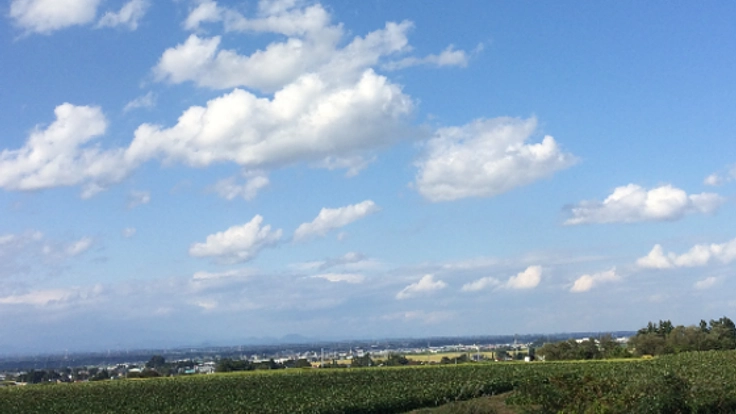 都会にはない田舎の良さを!宮城県「色麻町」フリーペーパー作成