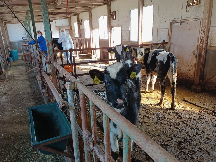 70%達成しました！