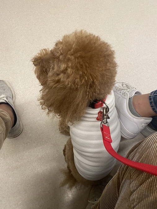 抜糸に行ってきました！