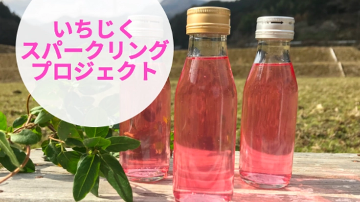 福岡県豊前市のいちじくを使ったご当地ソーダで地域おこし！